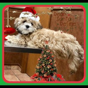 Meet your Posher, Maggie